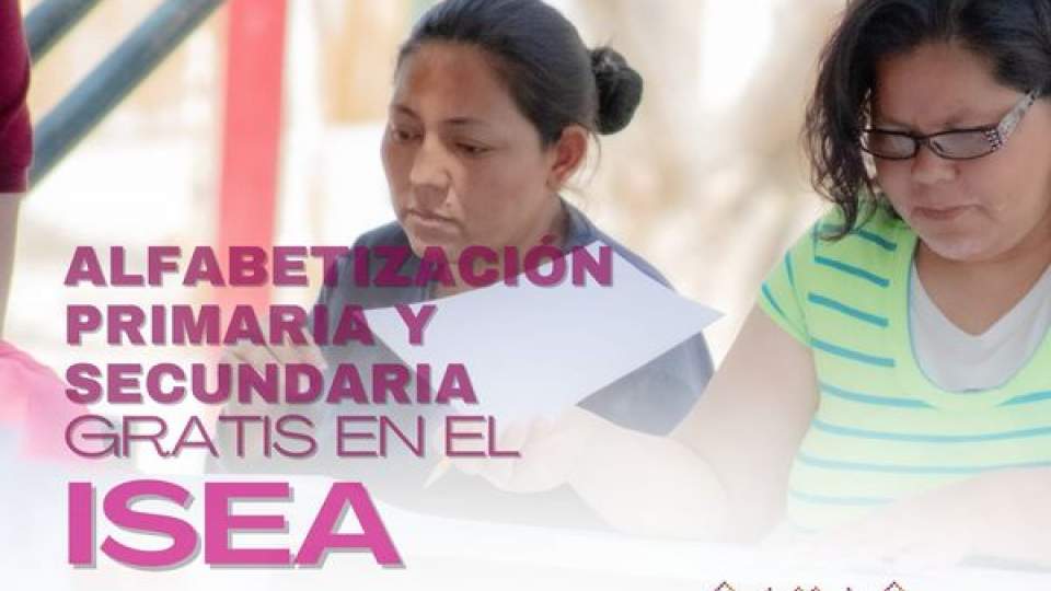 Recuerda que ninguno de nuestros servicios de educación básica tiene costo. 