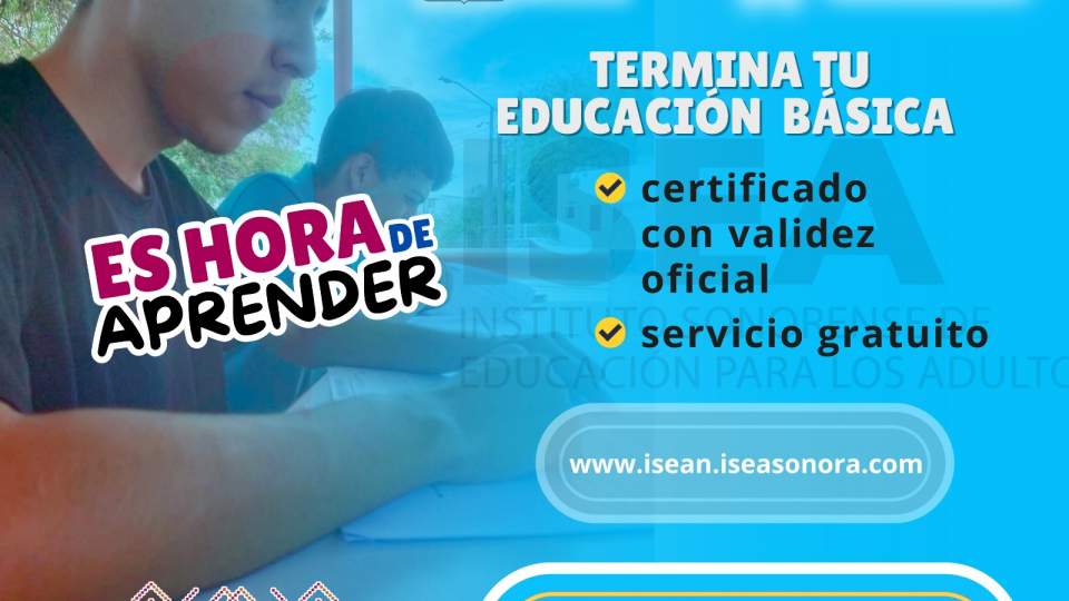 ¿Deseas concluir tu educación básica?