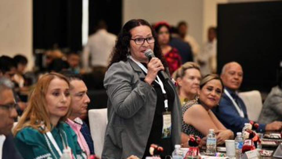 Segunda Sesión Ordinaria 2024 del Colegio de Directoras y Directores Generales de los IEEA y Unidades de Operación del INEA.