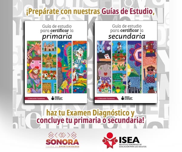 ¿Ya tienes estudios previos, pero no sabes en qué nivel continuar?